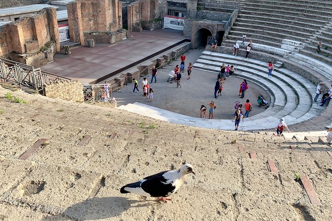 Private Transfer From Naples to Positano With Tour Stop in Pompeii (2 Hours) - Background