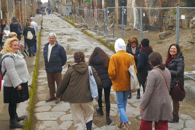 Private Transfer From Naples to Sorrento or Vice Versa via Pompei or Vineria - Reviews and Recommendations