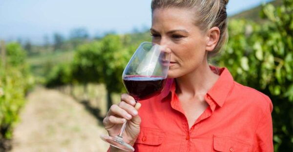 Private Transfer From Naples to Sorrento Stop at the Winery - Frequently Asked Questions