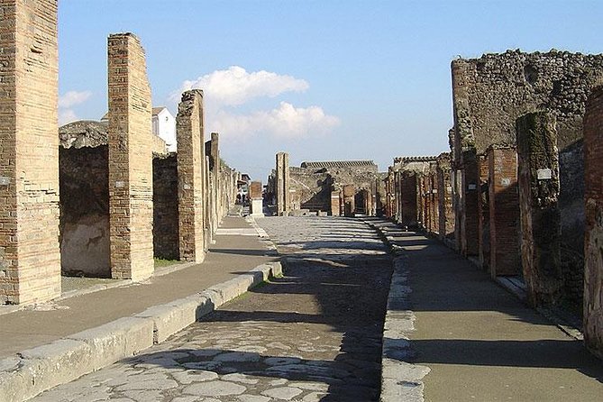 Private Transfer From Naples to Sorrento With Tour of Pompeii Ruins - Free Time to Explore Pompeii