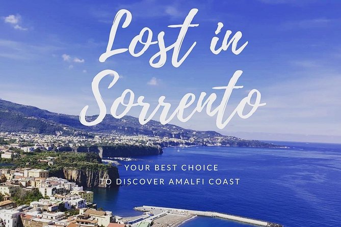 Private Transfer From Naples to Sorrento With Tour Stop in Pompeii (2 Hours) - Service Details