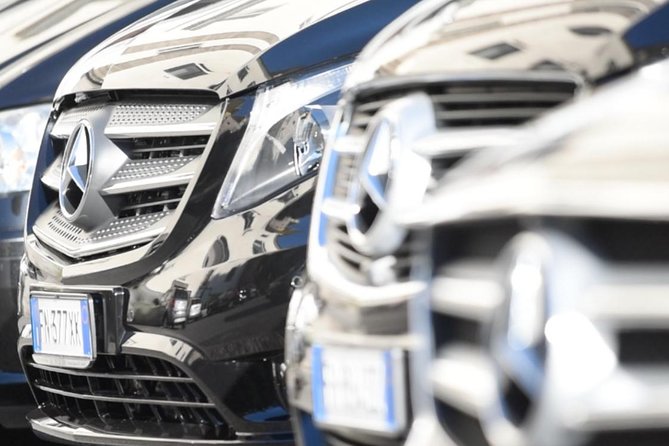 Private Transfer From Naples to Sorrento With Tour Stop in Pompeii (2 Hours) - Reviews and Ratings