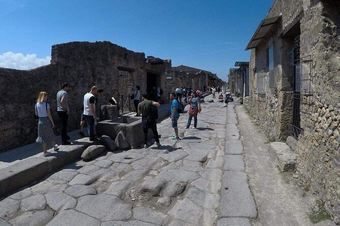 Private Transfer From Naples to Sorrento With Visit to Pompeii - Booking Details