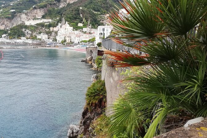 Private Transfer From Napoli to Sorrento With Stopover in Pompeii Ruins - Cancellation Policy