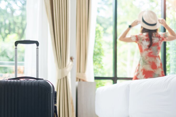 Private Transfer From Nice to Milan - What To Expect and Additional Info