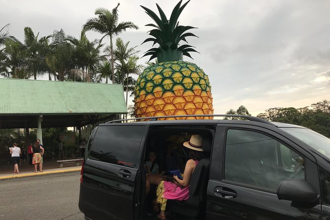Private Transfer From Noosa to Sunshine Coast Airport 7 Seater - Pricing and Terms