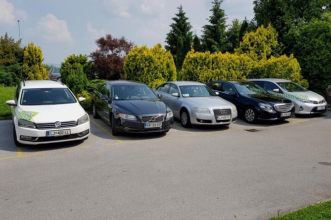 Private Transfer From Novo Mesto to Ljubljana City - Good To Know