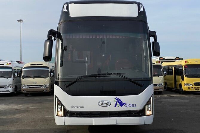 Private Transfer From or to Punta Cana Airport to hotels in Bávaro - FAQs