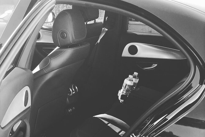 Private Transfer From Orly Airport (Ory) to Disneyland Paris - Transportation Details