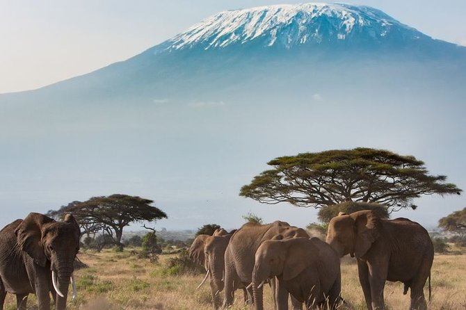 Private Transfer From Ouagadougou Airport (Oua) to Ouagadougou - Good To Know
