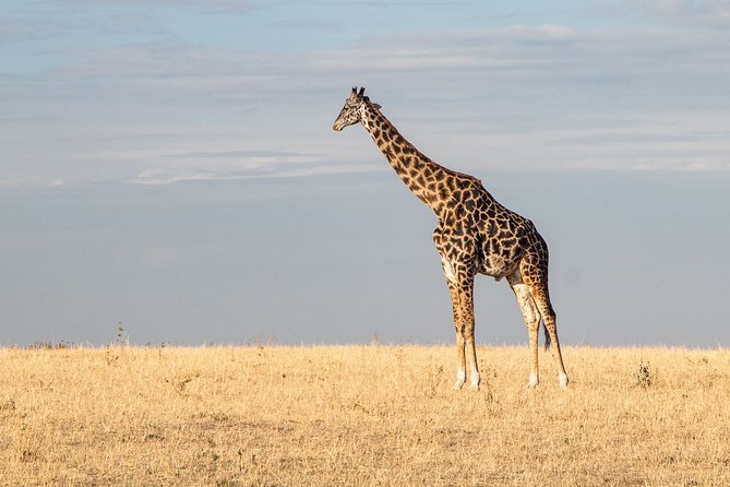 Private Transfer From Ouagadougou Airport (Oua) to Ouagadougou - Booking Confirmation Details