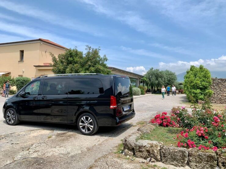Private Transfer From Paestum Archaeological Park to Salerno - Booking Requirements and Information