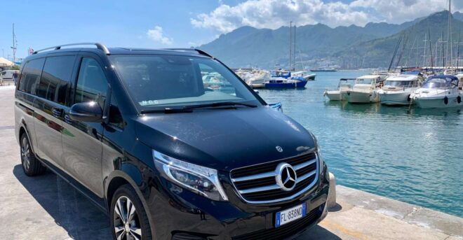 Private Transfer From Paestum Archaeological Park to Salerno - Service Inclusions