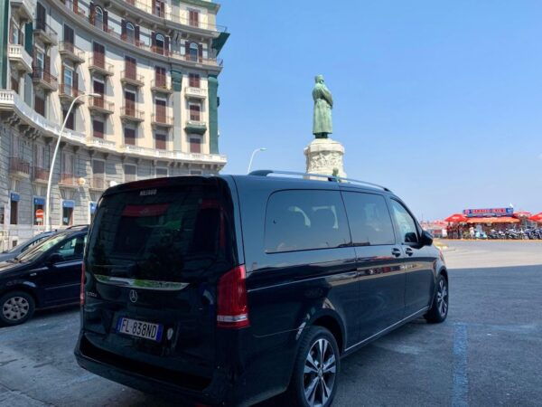 Private Transfer From Paestum Archaeological Park to Salerno - Directions for Transfer