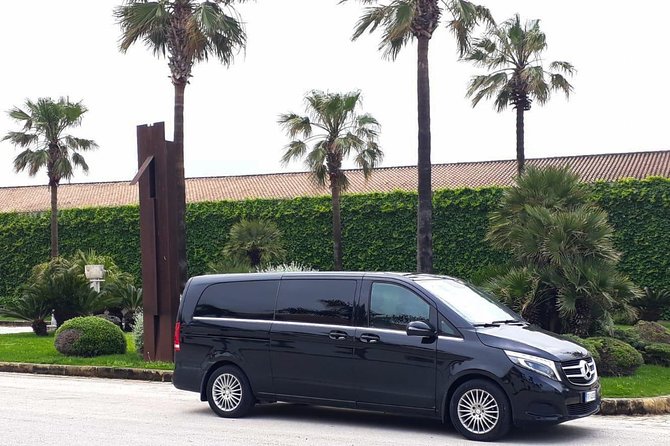 Private Transfer From Palermo Airport to Trapani or Vice Versa - Service Details