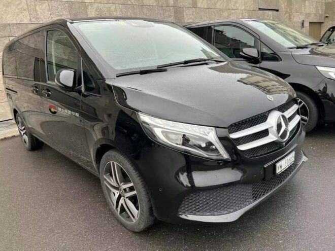 Private Transfer From Paris Airport to Hotel - What to Expect During Transfer