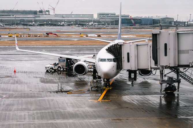 Private Transfer From Paris to CDG and Orly Airport - The Sum Up