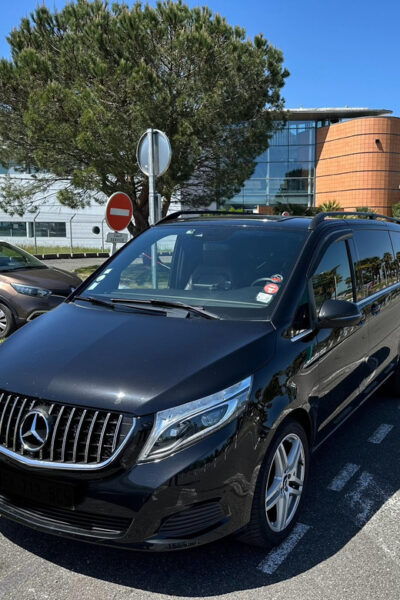 Private Transfer From Pau Pyrénées Airport to Lourdes - Travel Duration
