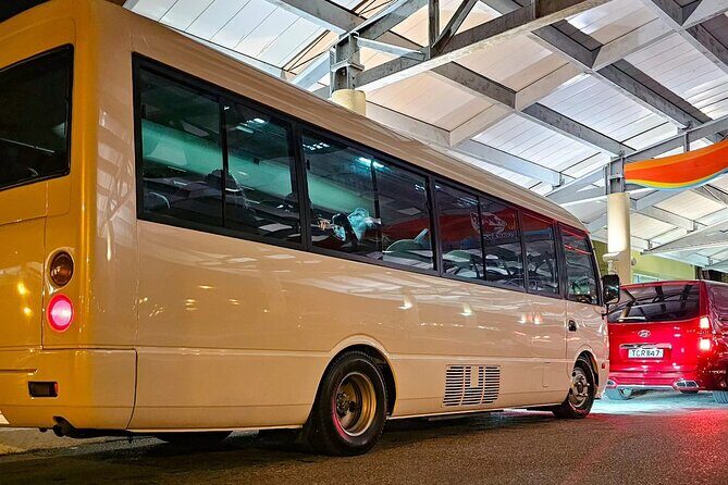 Private Transfer from Piarco Airport to San Fernando - Vehicle Comfort and Capacity