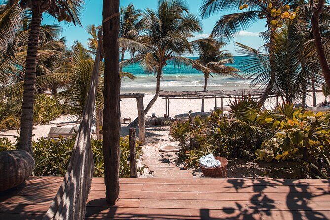 Private Transfer from Playa del Carmen to Tulum - Pricing and Value