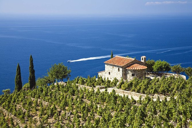 Private Transfer From Porto Azzurro to Marina Di Campo (Eba) Airport - Meeting and Pickup Details
