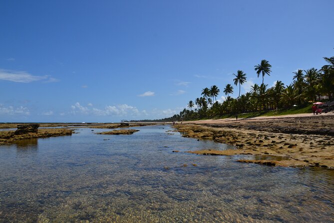 Private Transfer From Porto De Galinhas to Recife Airport - Pricing and Lowest Price Guarantee