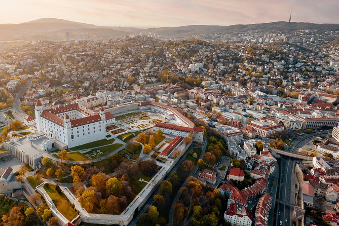 Private Transfer From Prague to Budapest With a Sightseeing Stop in Bratislava - Vehicle and Driver Features