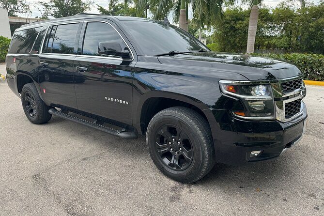 Private Transfer from Punta Cana Airport to Bávaro Hotels - Good To Know