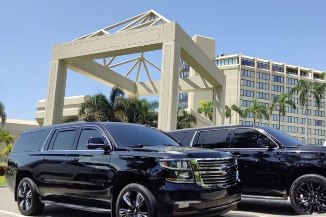 Private Transfer from Punta Cana Airport to Bávaro Hotels - Who Should Book This Transfer?