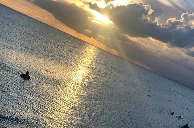 Private transfer from Punta cana hotels Bayahibe la Romana - Who Should Consider This Service?  