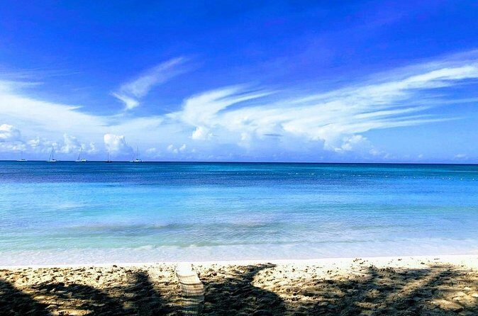 Private transfer from Punta cana hotels Bayahibe la Romana - Final Thoughts: Is It Worth It?  