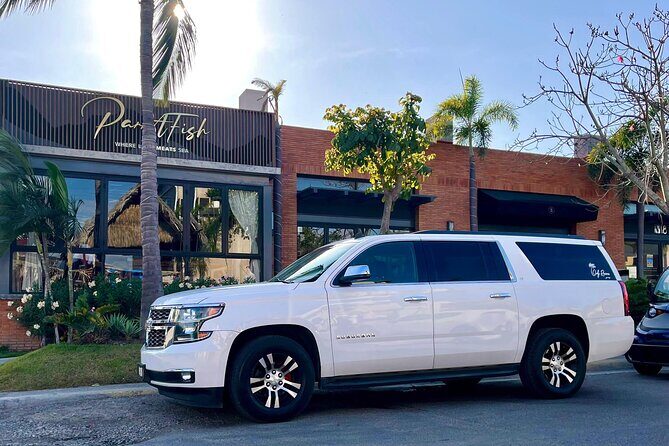 Private Transfer from Punta de Mita Area to PVR Airport - Who Is This Transfer Best For?