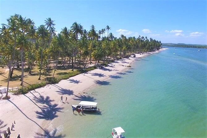 Private Transfer From Recife Airport to Praia Dos Carneiros - Pricing and Booking Process