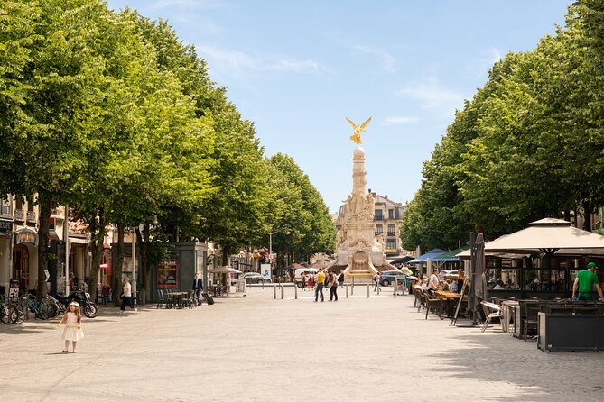 Private Transfer From Reims or Epernay to CDG Airport or Paris - Pricing and Reservation