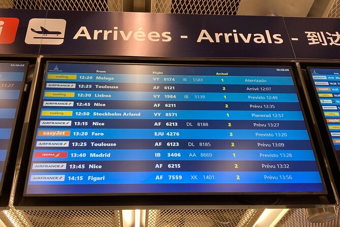 Private Transfer From Roissy CDG Airport to Disneyland Paris - Price and Reviews