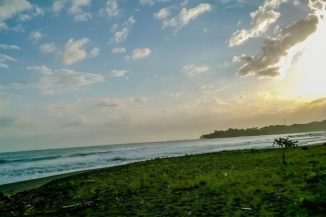 Private Transfer From San Jose to Puerto Viejo, Limon - Safety Measures