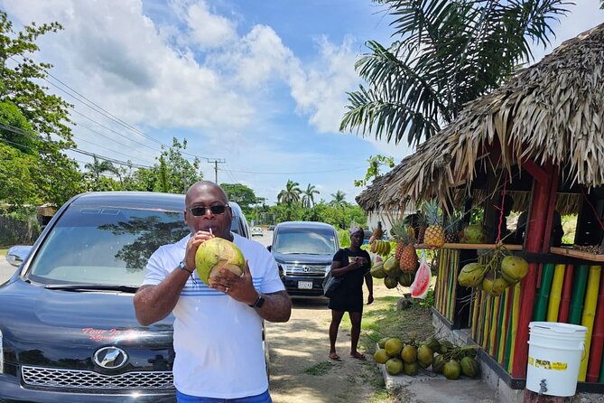 Private Transfer From Sangsters International Airport to Negril - Service Details