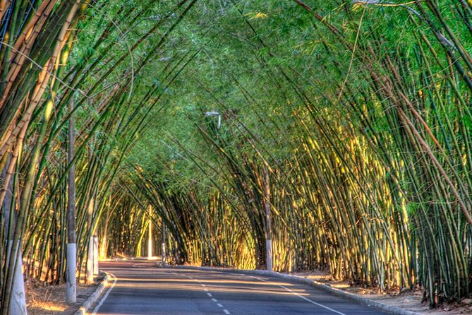Private Transfer From Sauípe to Salvador Da Bahia - Location Drop-off Details