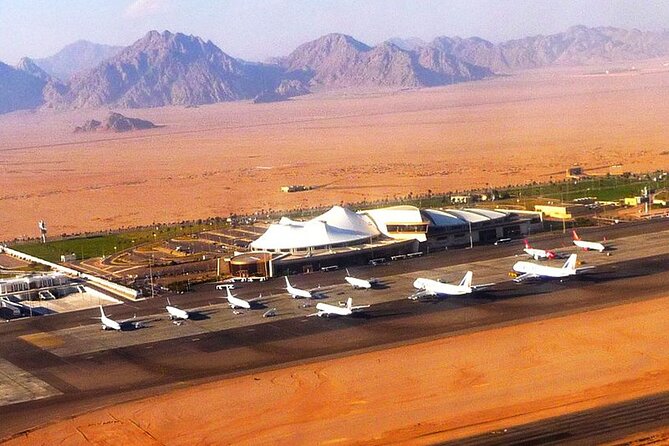 Private Transfer From Sharm El Sheikh Airport to Hotels - Infant Seating Availability