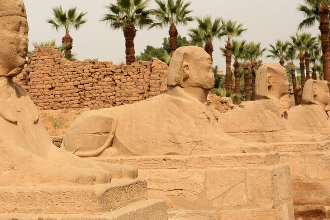 Private Transfer From Soma Bay To Luxor City - Confirmation Process