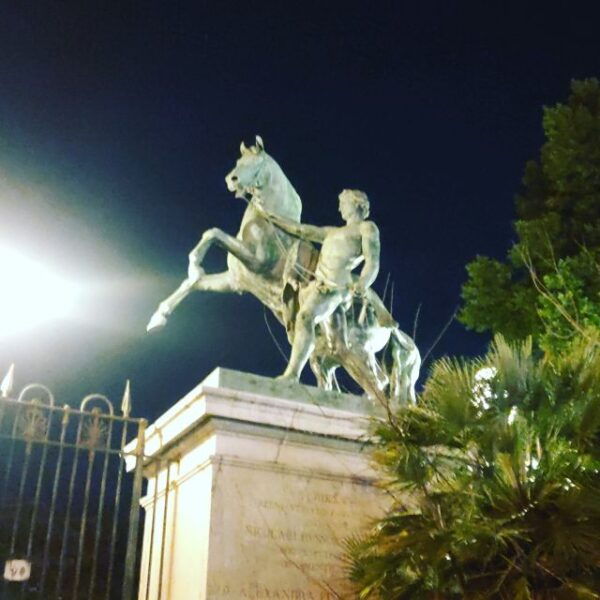 Private Transfer From Sorrento to Naples - Languages Spoken and Accessibility