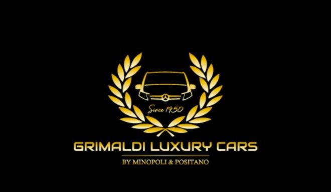 Private Transfer From Sorrento to Naples Stop Herculaneum - Vehicle and Service Quality