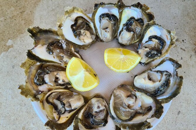 Private Transfer From Split to Dubrovnik via Ston City Walls - Directions