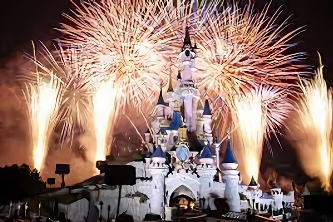 Private Transfer From/To CDG, ORLY Airports DISNEYLAND - Common Questions