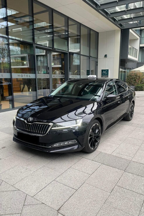 Private Transfer From/To Krakow Airport - Included Amenities