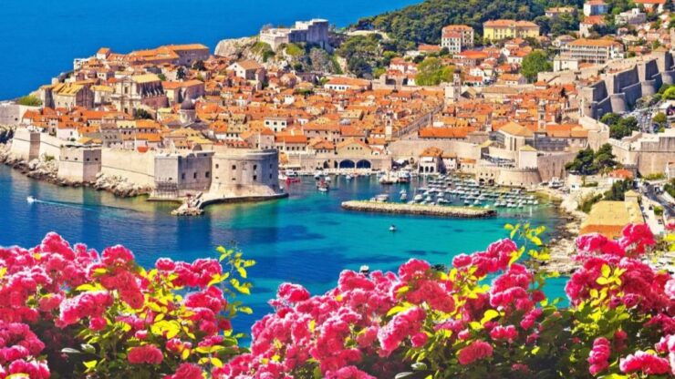 Private Transfer (From-To) Sarajevo - Dubrovnik - Transportation and Driver Information