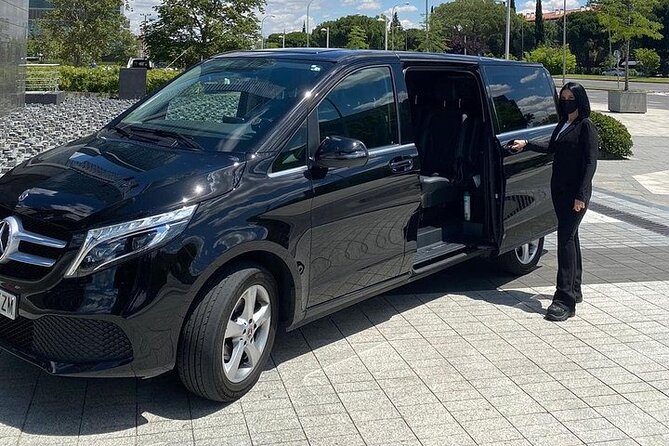 Private Transfer From/To Seville To/From Malaga & Stop Alhambra - Questions and Terms