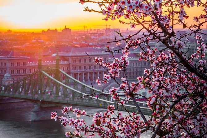 Private Transfer From Vienna to Budapest With 2 Hours for Sightseeing - The Sum Up