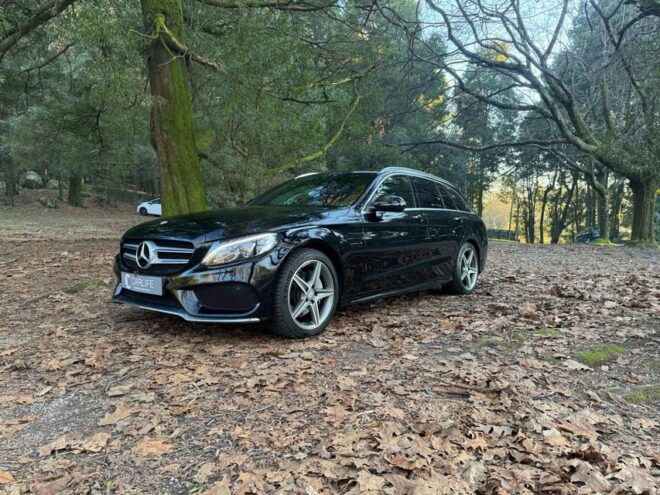 Private Transfer From Vilamoura to Lisbon - Passenger Amenities and Safety