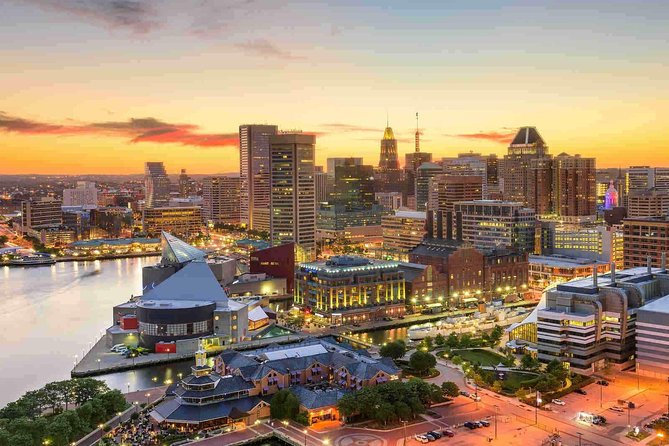 Private Transfer From Washington to National Airport DCA in Luxury Van - Service Details